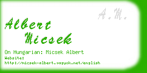 albert micsek business card